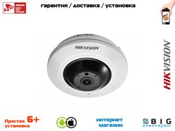 № 100097 Купить 5Мп fisheye IP-камера с ИК-подсветкой до 8м DS-2CD2955FWD-I Саратов